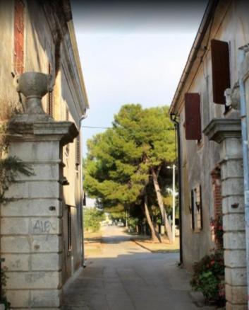 Apartman Val 1 Novigrad  Exterior photo